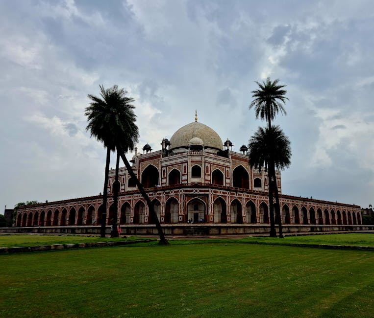 Jutarnja čarolija u vrtu pripremite se za dan pun energije