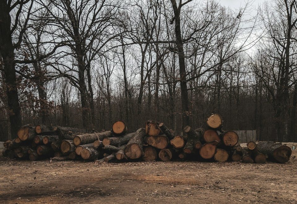 Priprava počitniške hiše na zimski spanec