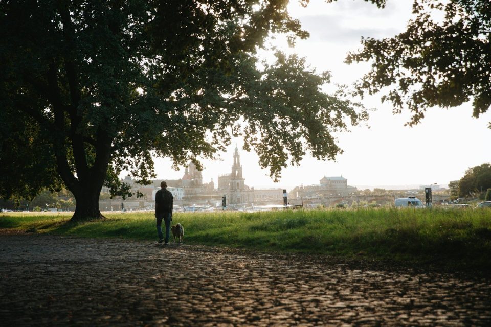 Person walking dog near trees with city skyline.