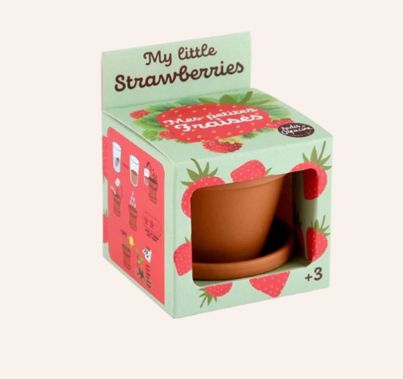 Pogledajte zašto su jagode u loncu toliko popularne